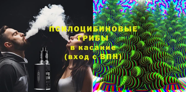 шишки Нягань